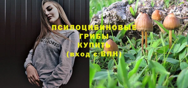 метадон Арсеньев