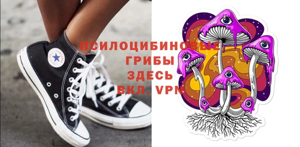 метадон Арсеньев
